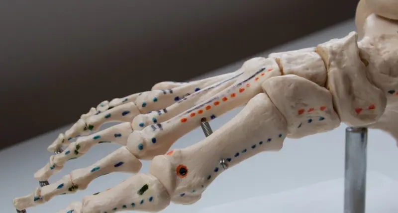 Voetreflextherapie behandeling in Haskerhorne
